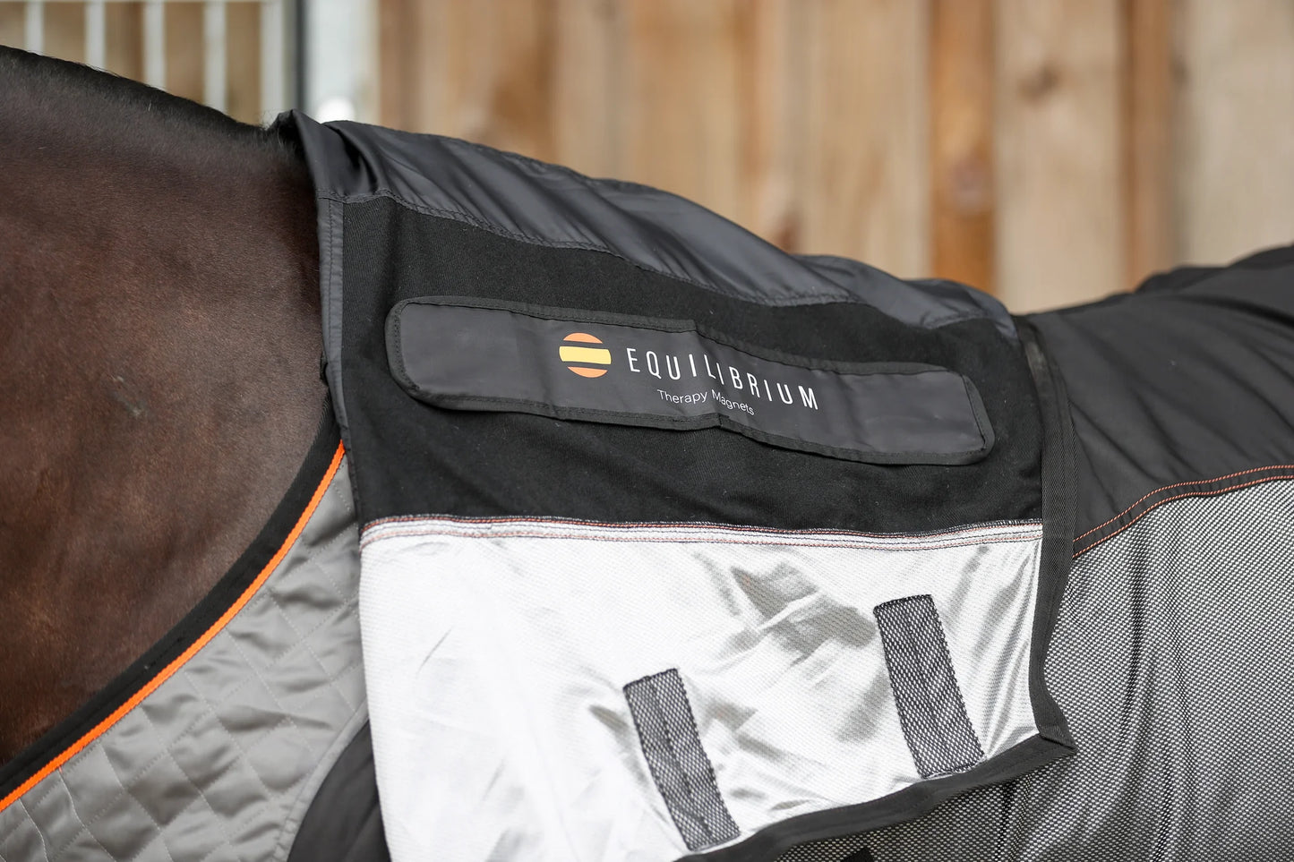 Therapy Magnetic Rug, magnetterapitäcke med flyttbara magneter