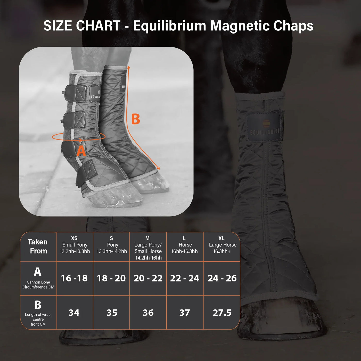 Magnetic Chaps Equilibrium