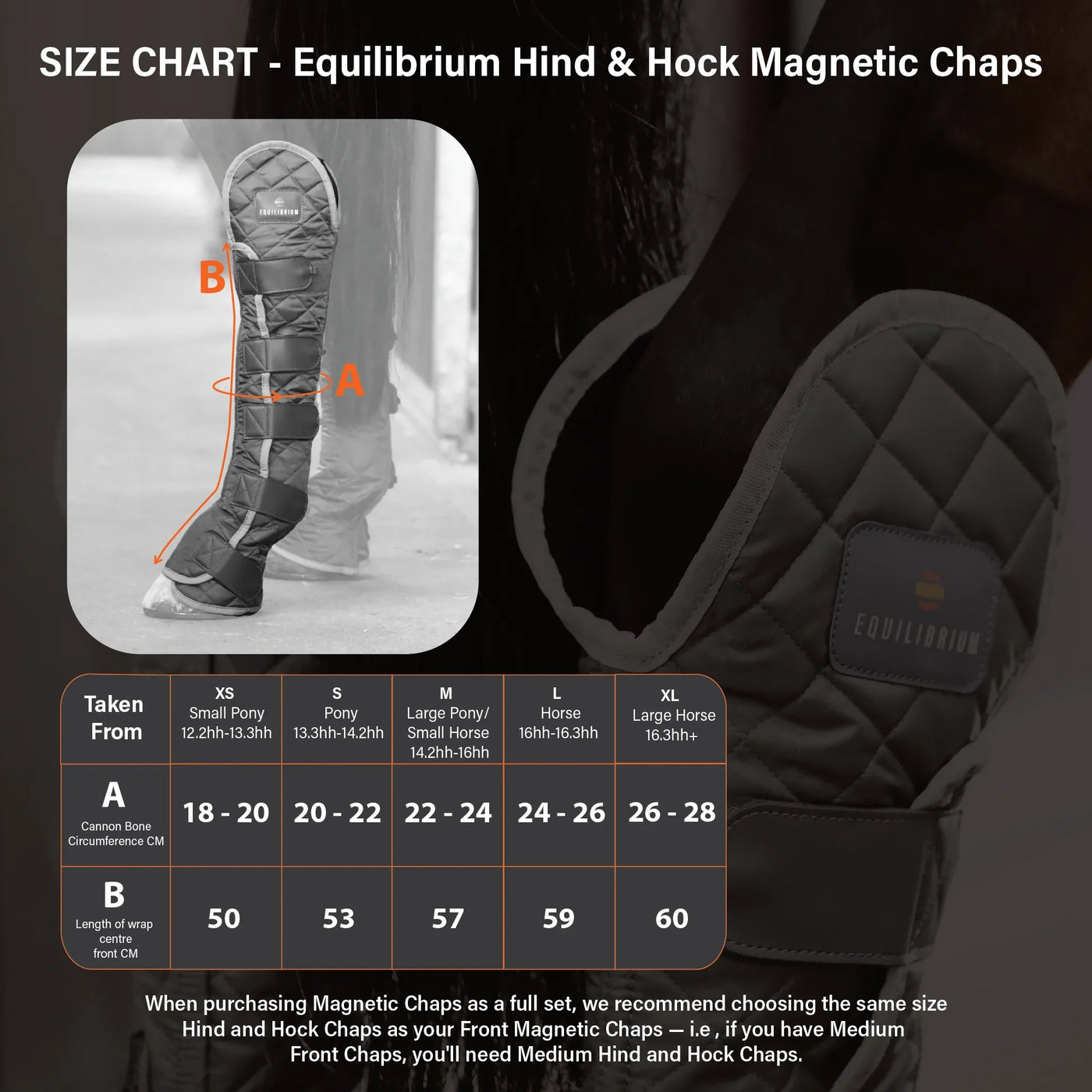 Hind & Hock Magnetic Chaps Equilibrium