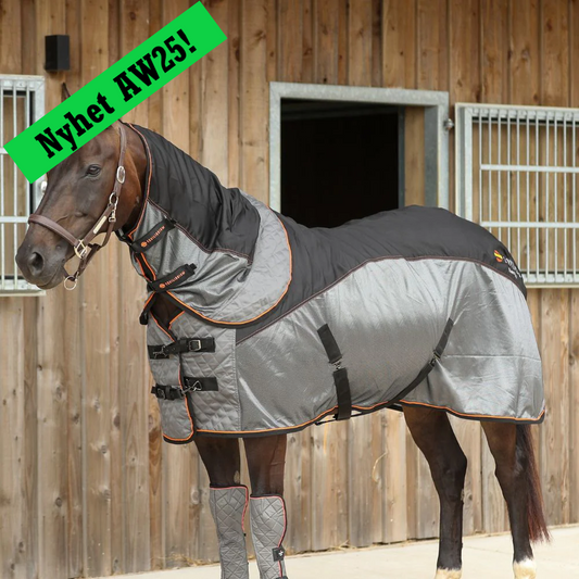 Therapy Magnetic Rug, magnetterapitäcke med flyttbara magneter