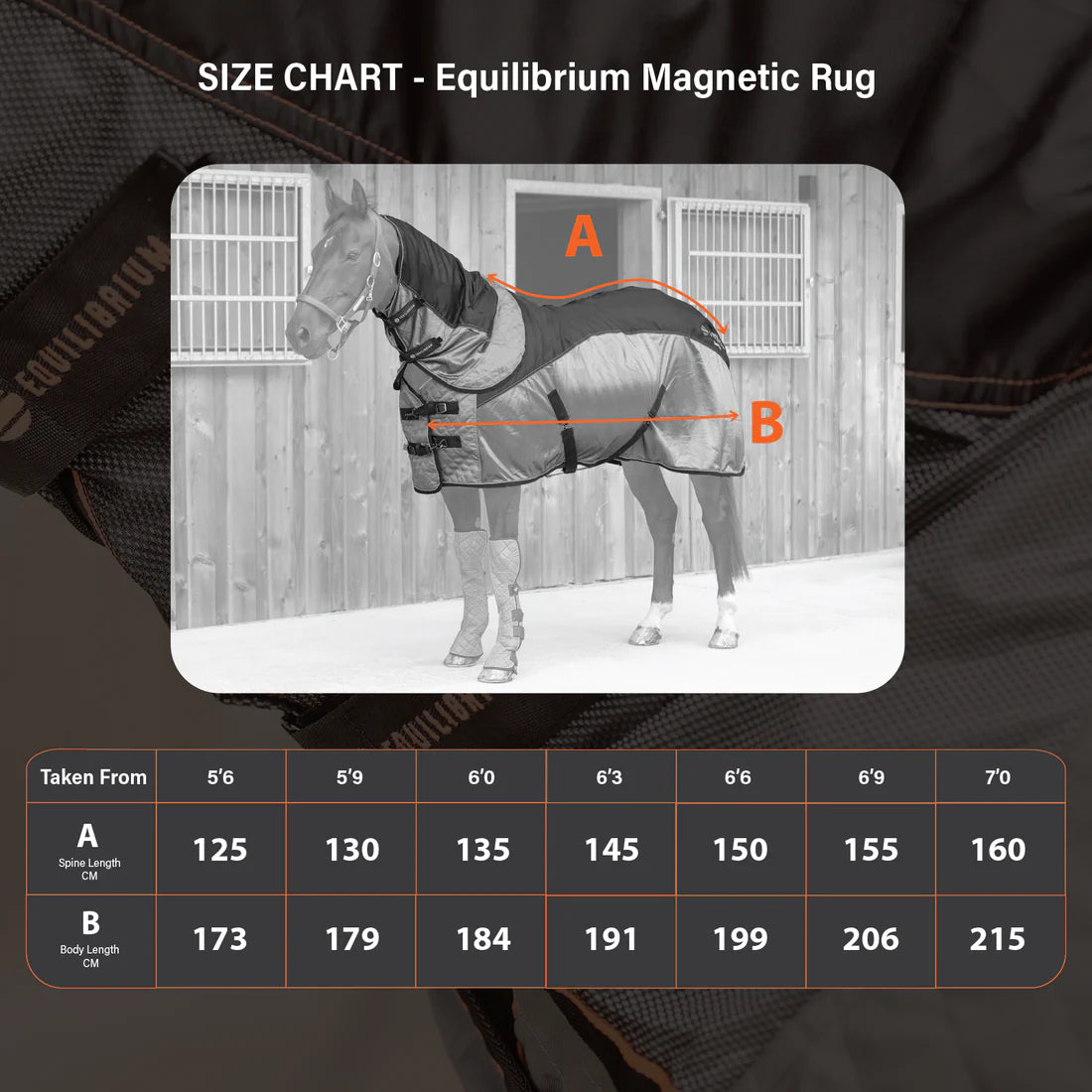 Magnetic Rug Equilibrium