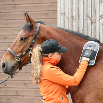 Equilibrium Massage Mitt, batteridriven massagehandske