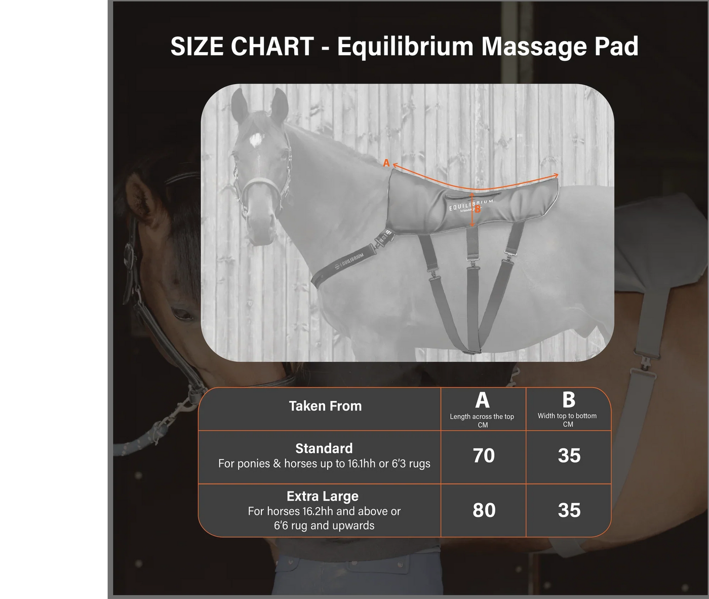 Massage Pad Equilibrium