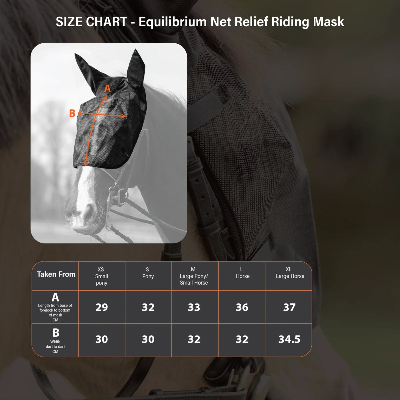 Net Relief Riding Mask Equilibrium