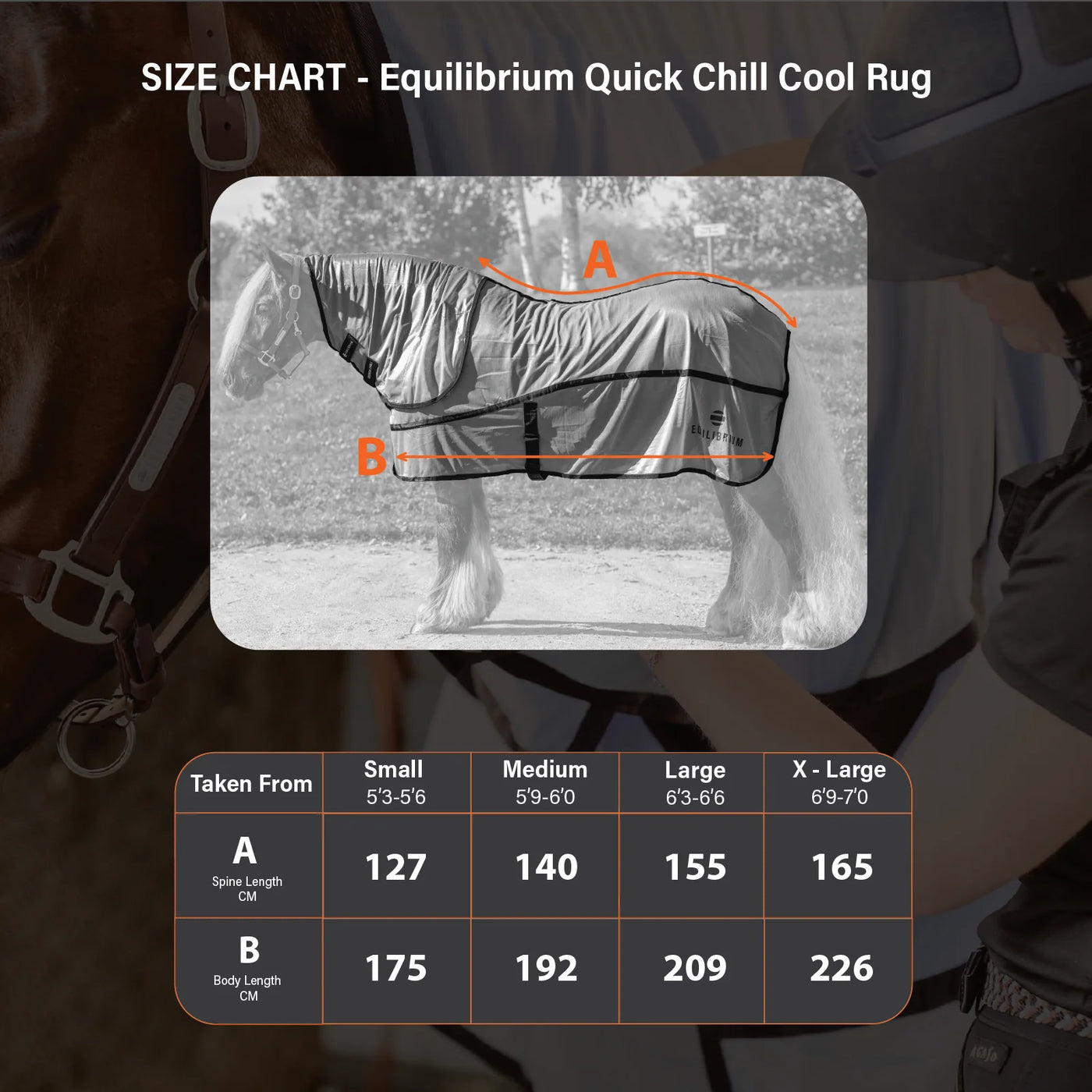 Quick Chill Cooling Rug Equilibrium
