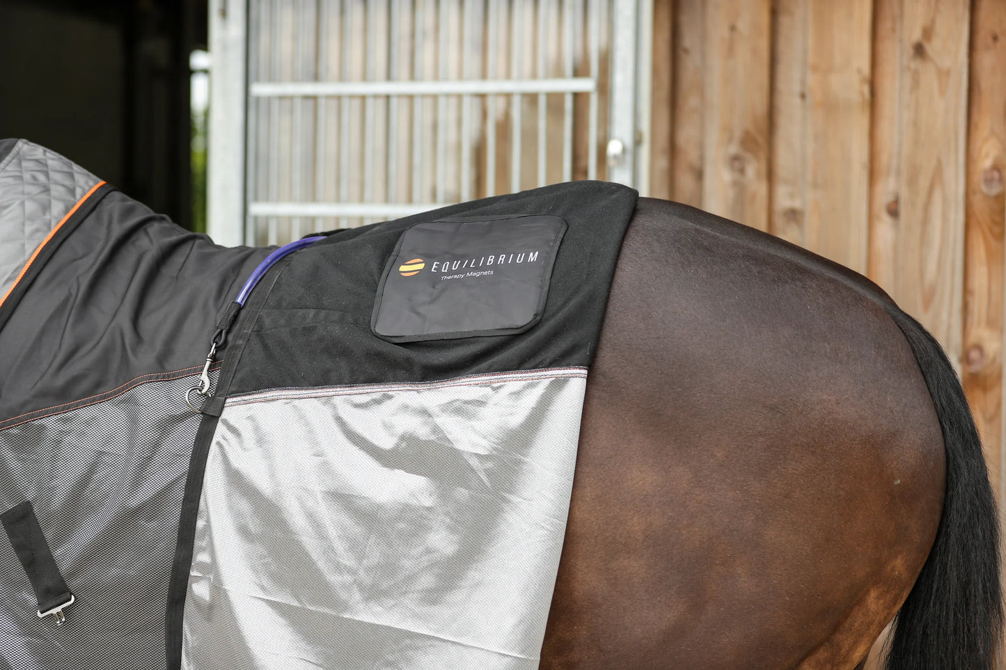 Therapy Magnetic Rug, magnetterapitäcke med flyttbara magneter