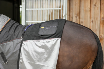 Therapy Magnetic Rug, magnetterapitäcke med flyttbara magneter