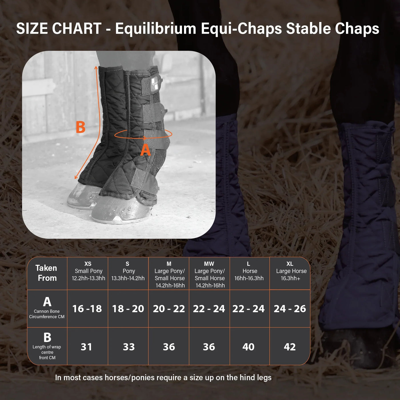 Equi-Chaps Stable Chaps Equilibrium