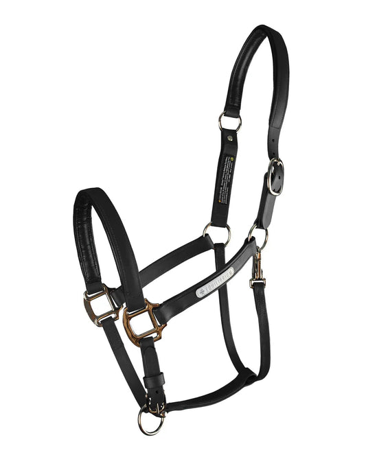 Stellar All Weather Headcollar, återanvändbar säkerhetsgrimma