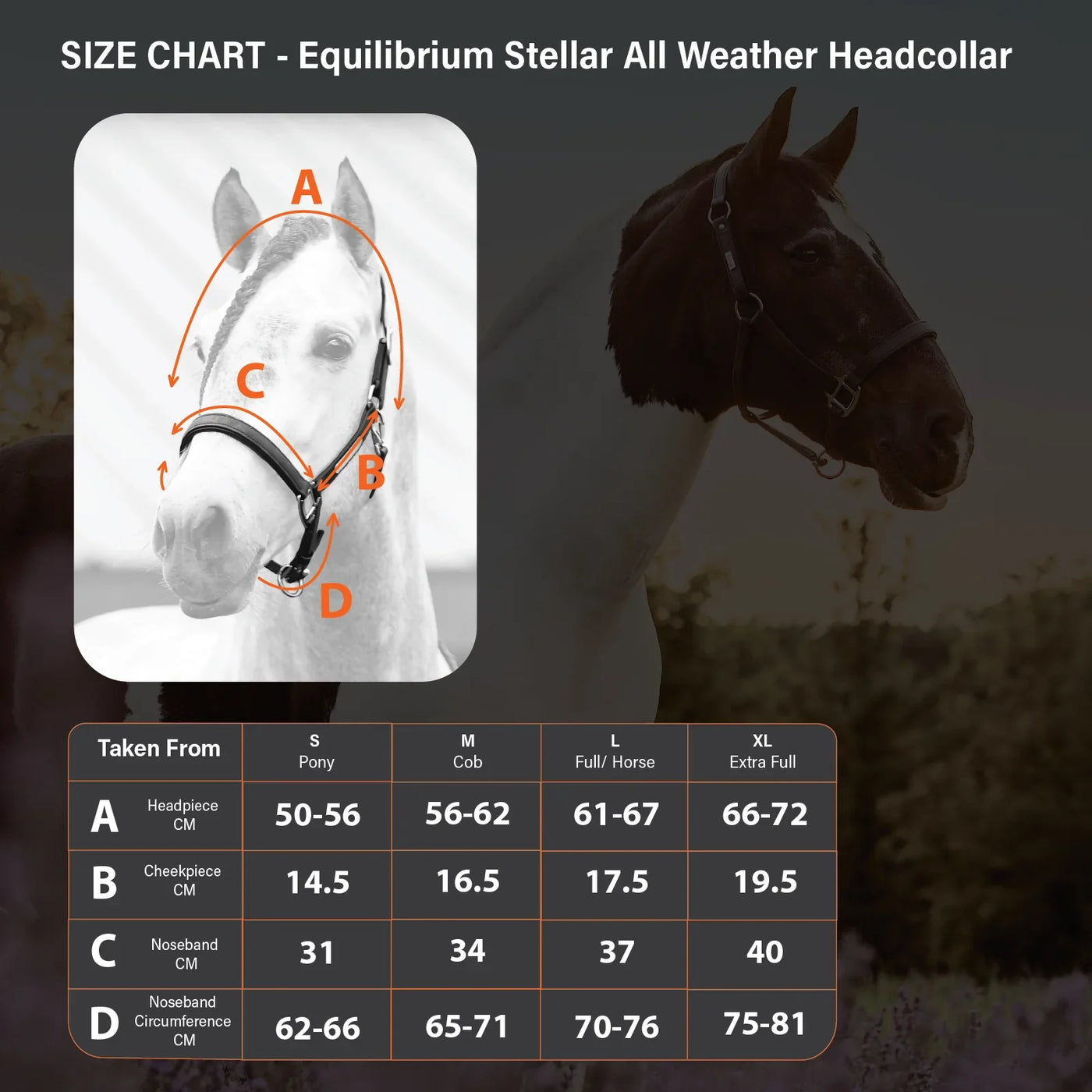 Stellar All Weather Safety Headcollar Equilibrium