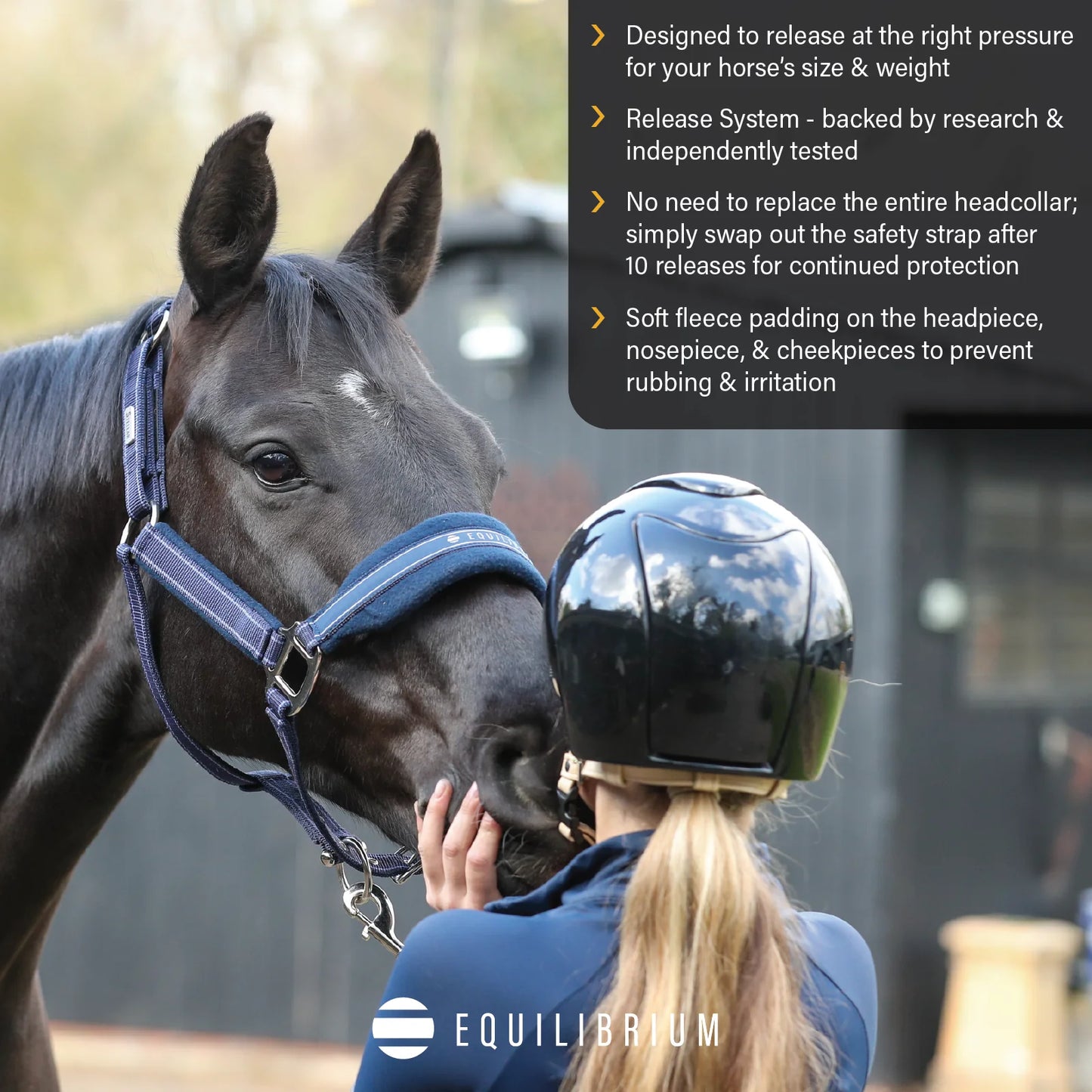 Stellar Style Safety Headcollar, prisvärd återanvändbar säkerhetsgrimma i nylon, flera färger