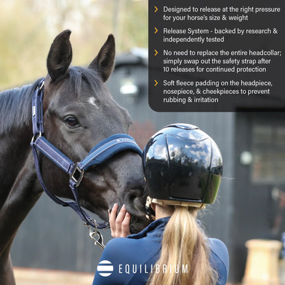 Stellar Style Safety Headcollar, prisvärd återanvändbar säkerhetsgrimma i nylon, flera färger