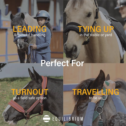 Stellar Style Safety Headcollar, prisvärd återanvändbar säkerhetsgrimma i nylon, flera färger