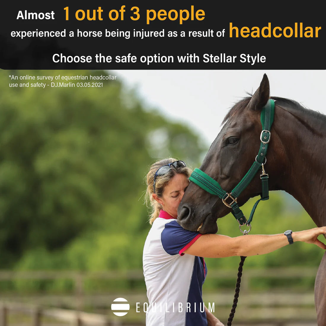 Stellar Style Safety Headcollar, återanvändbar säkerhetsgrimma