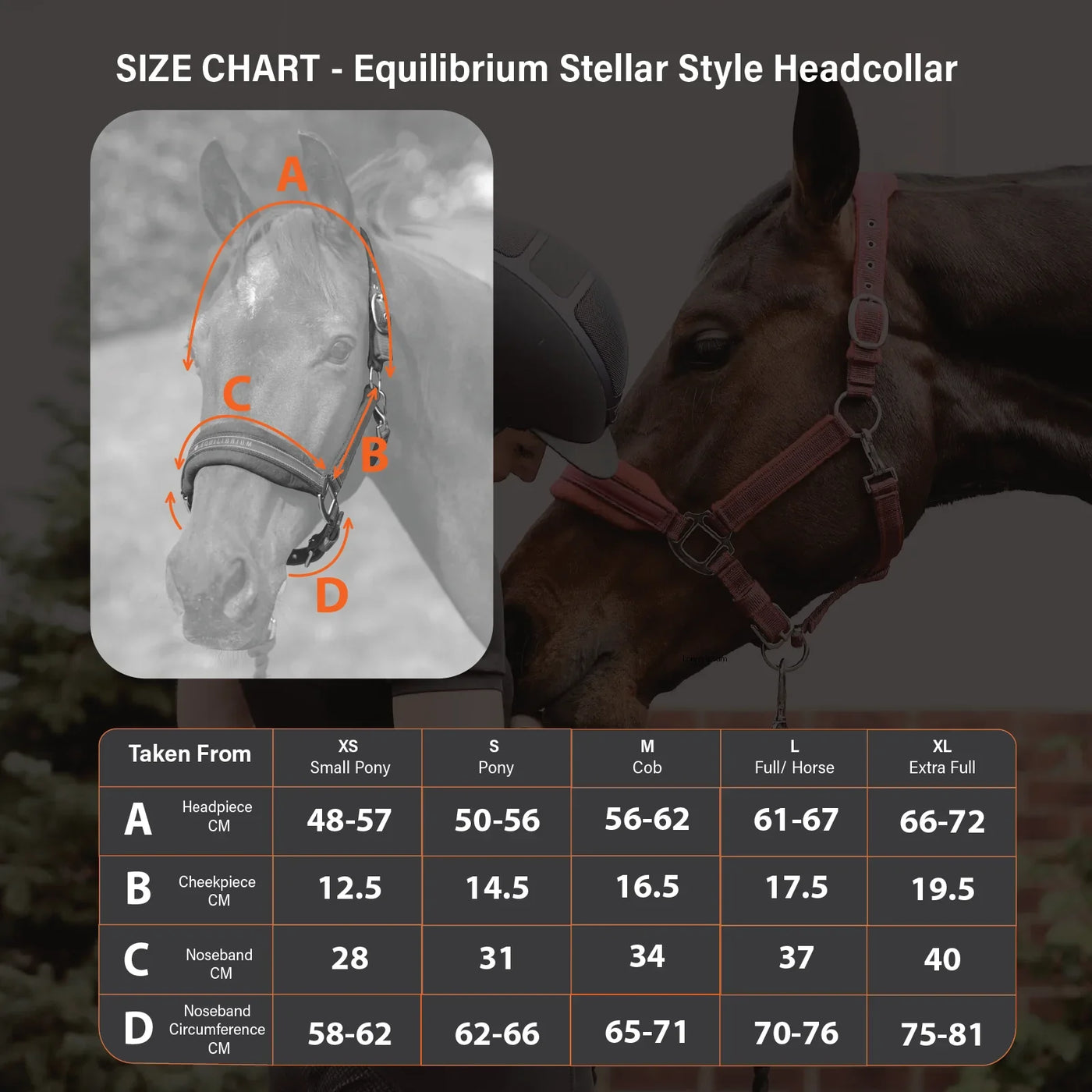 Stellar Style Safety Headcollar Equilibrium