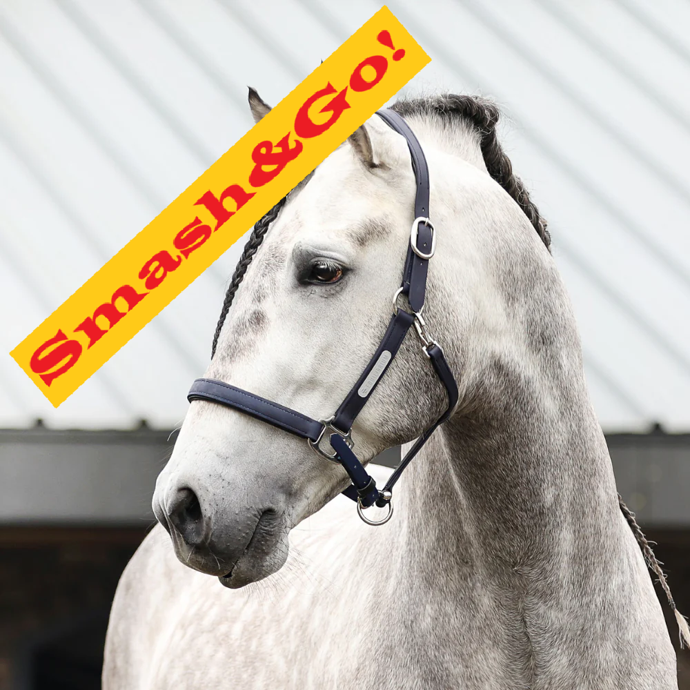 Smash&Go! Stellar All Weather Headcollar, återanvändbar säkerhetsgrimma, flera färger