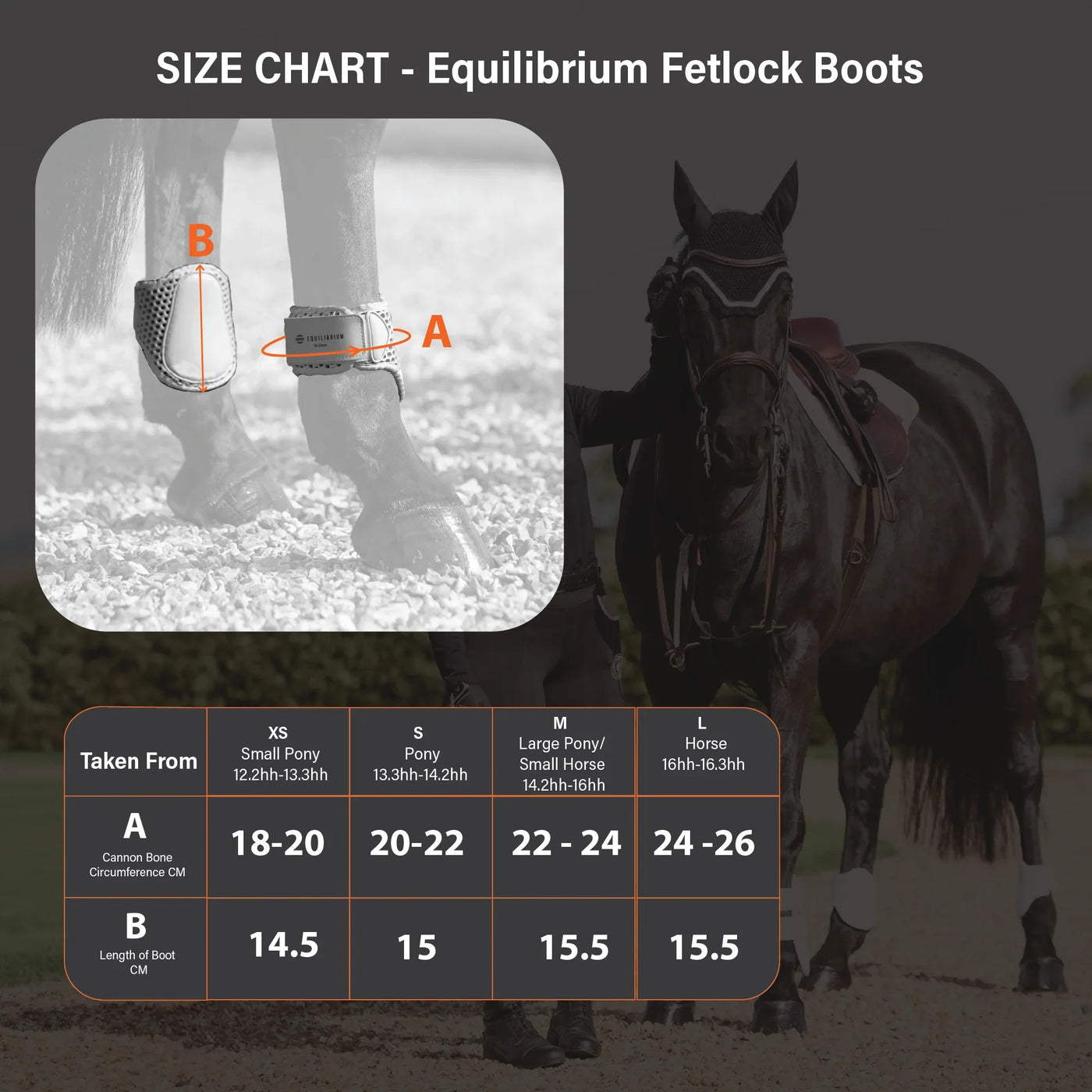 Tri-Zone Fetlock Boots Equilibrium