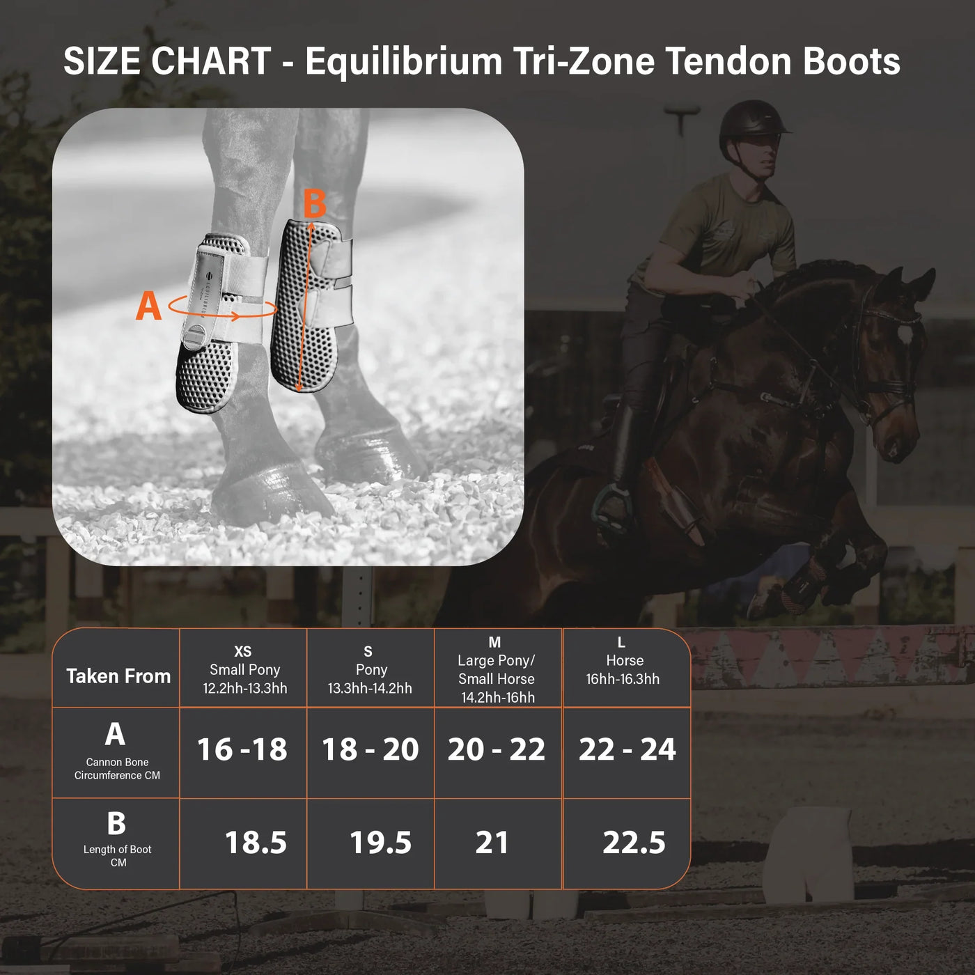 Tri-Zone Tendon Boots Equilibrium