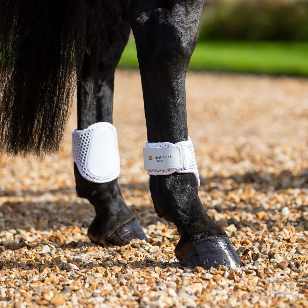 Equilibrium Tri-Zone Fetlock Boots, lätta bakbensskydd