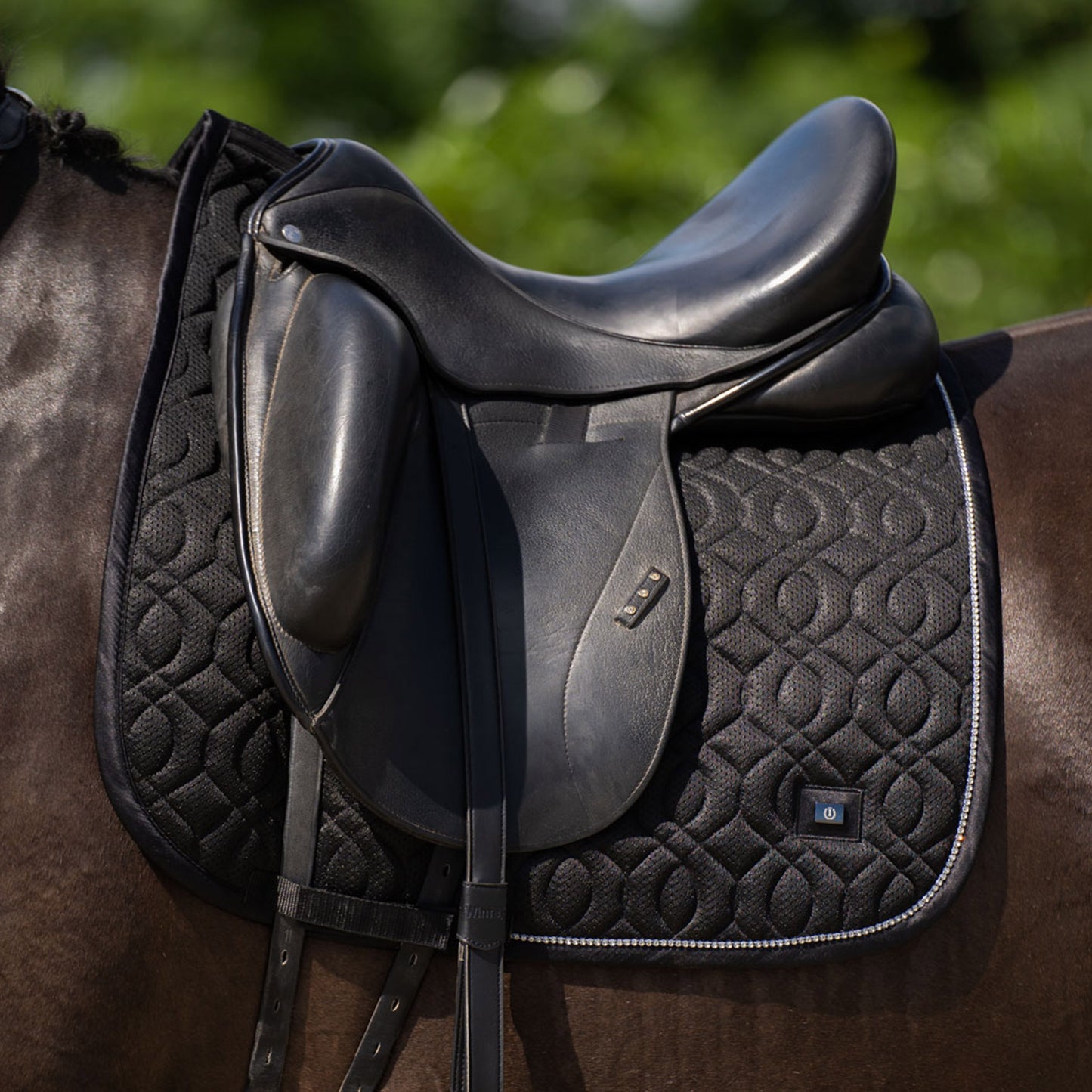 Imperial Riding Saddlepad Cloud Dancer DR, dressyrschabrak med mesh