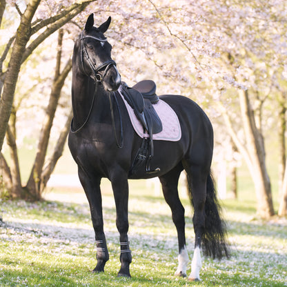 Saddlepad Lenny DR, blankt dressyrschabrak, flera färger