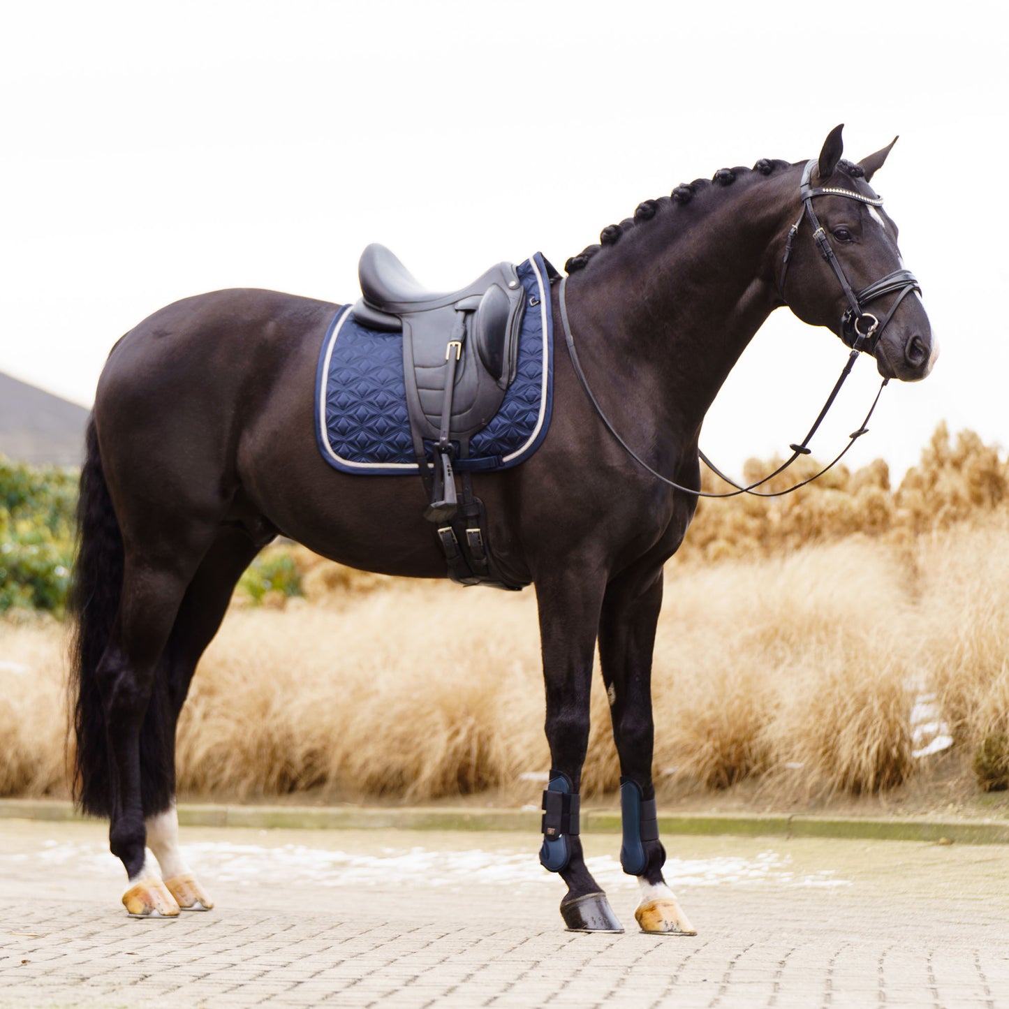 Saddlepad Lenny DR, blankt dressyrschabrak, flera färger