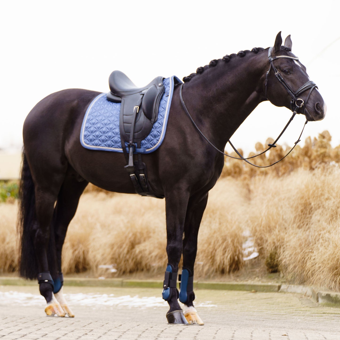 Saddlepad Lenny DR, blankt dressyrschabrak, flera färger