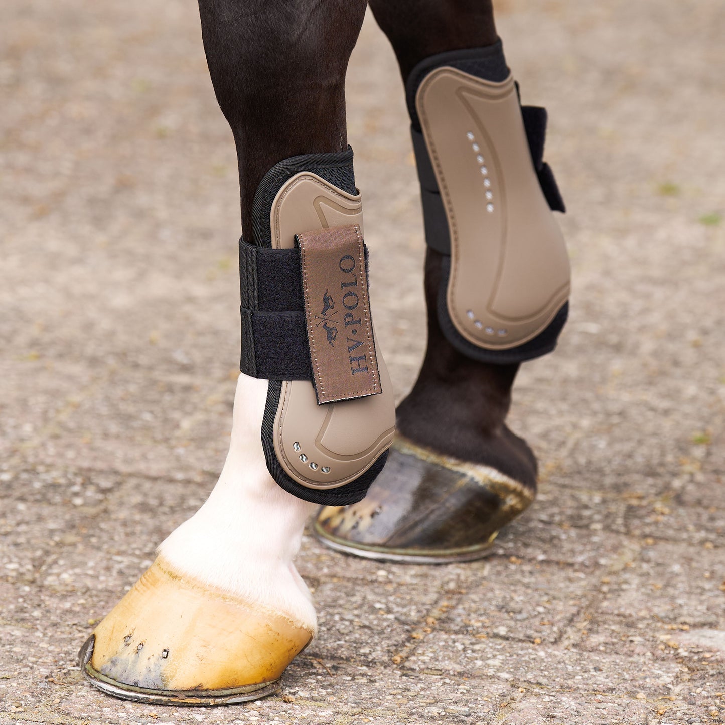 HV Polo Tendon and Fetlock Bootset Classic, set med benskydd