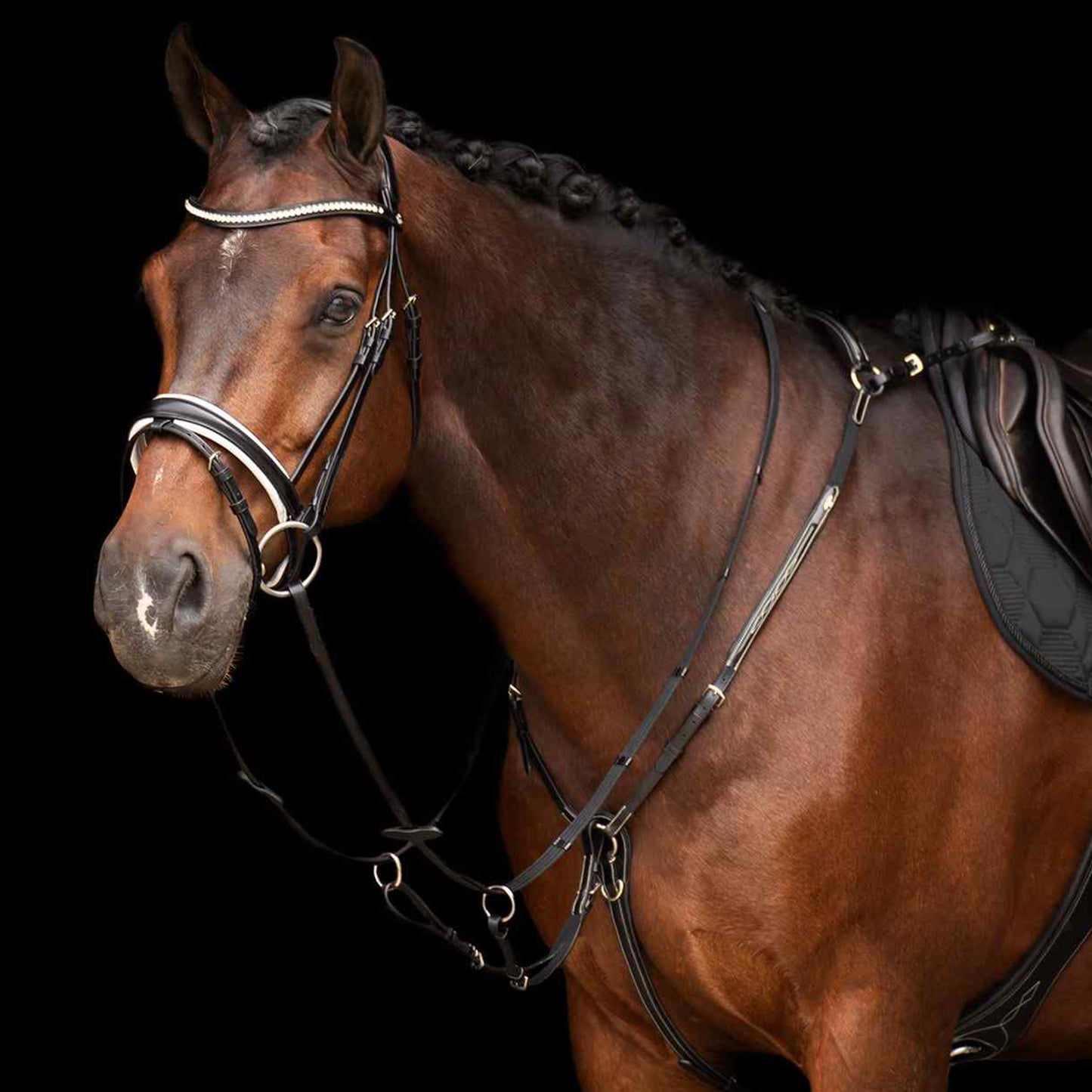 HV Polo Martingale Legacy, martingale i läder