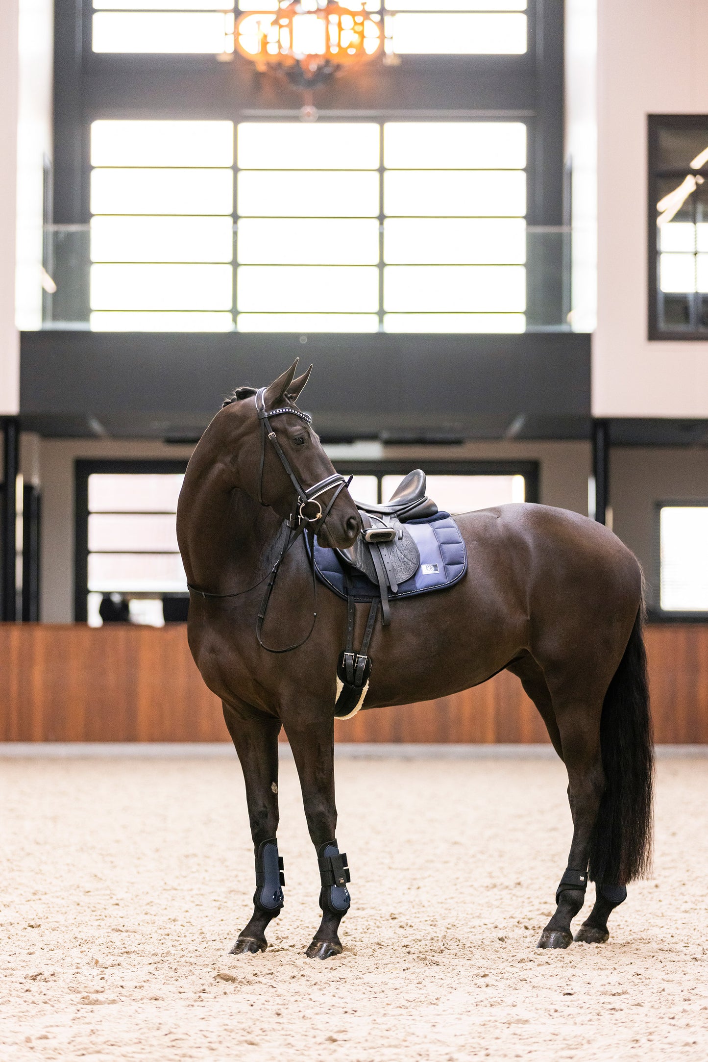 Imperial Riding Tendon Boots Lovely, prisvärda senskydd