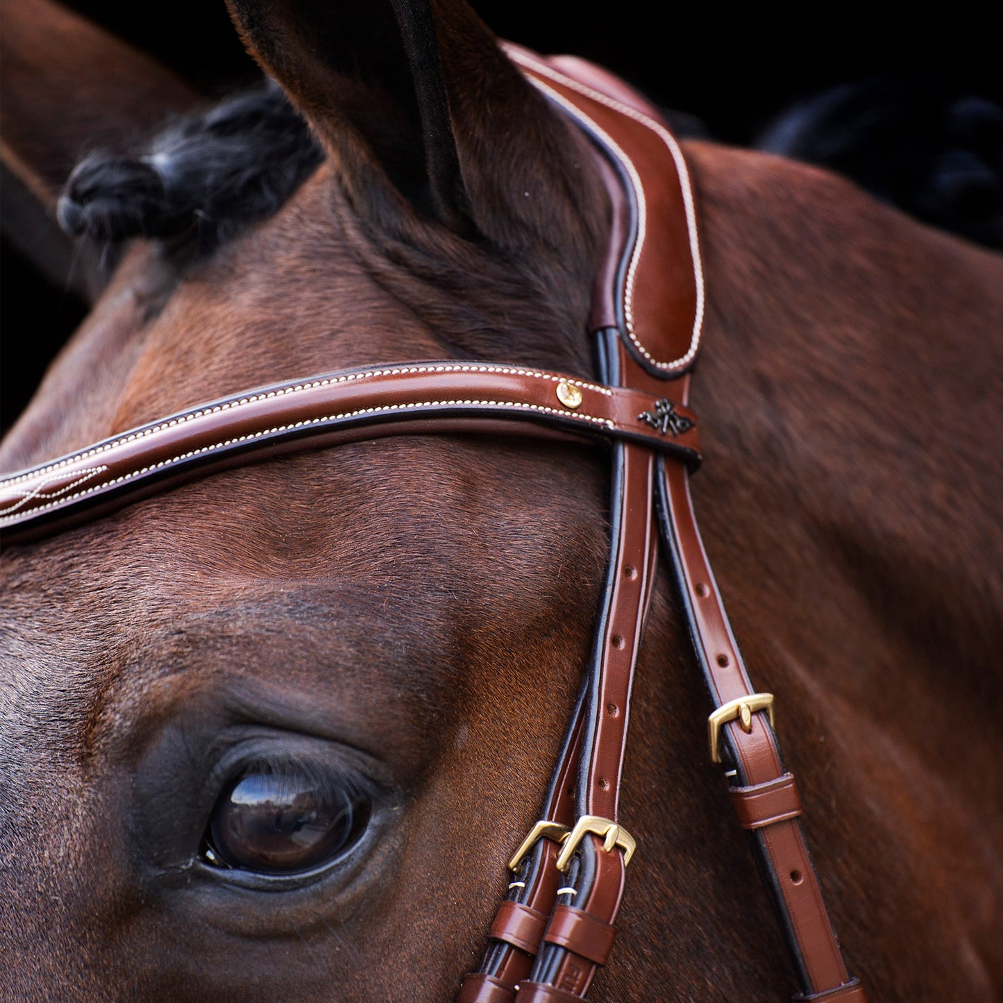 HV Polo Bridle Legacy, mjukt träns