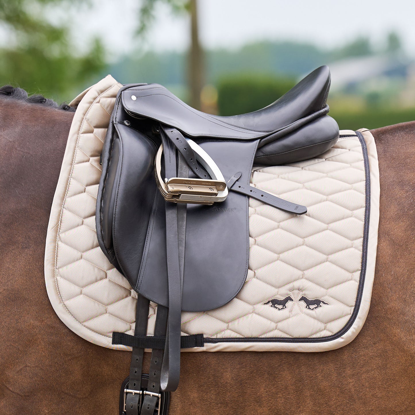 HV Polo Saddlepad Joan, dressyrschabrak