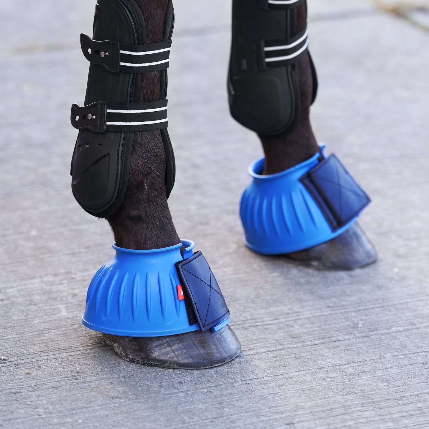 Imperial Riding Bellboots Bells, klassiska boots