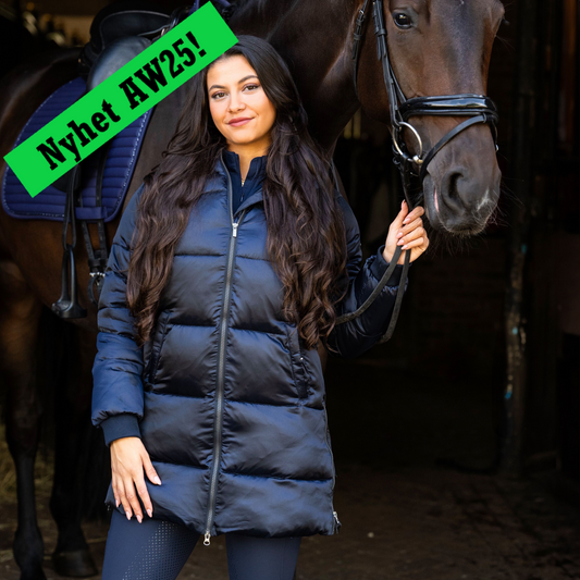 Puffer Jacket Bodie, vadderad ridkappa med luva, flera färger