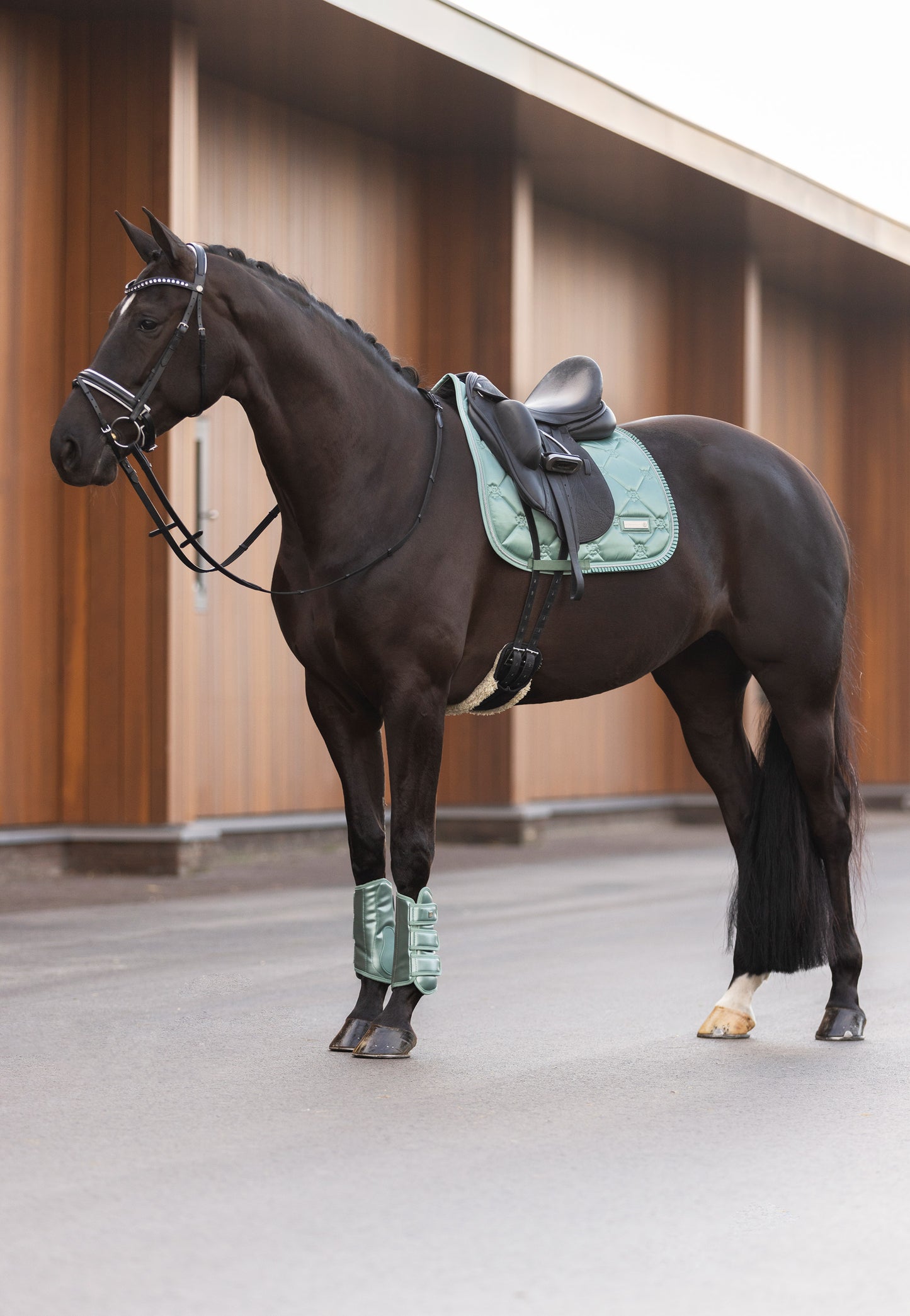 Imperial Riding Saddlepad Lovely GP,  snyggt hoppschabrak