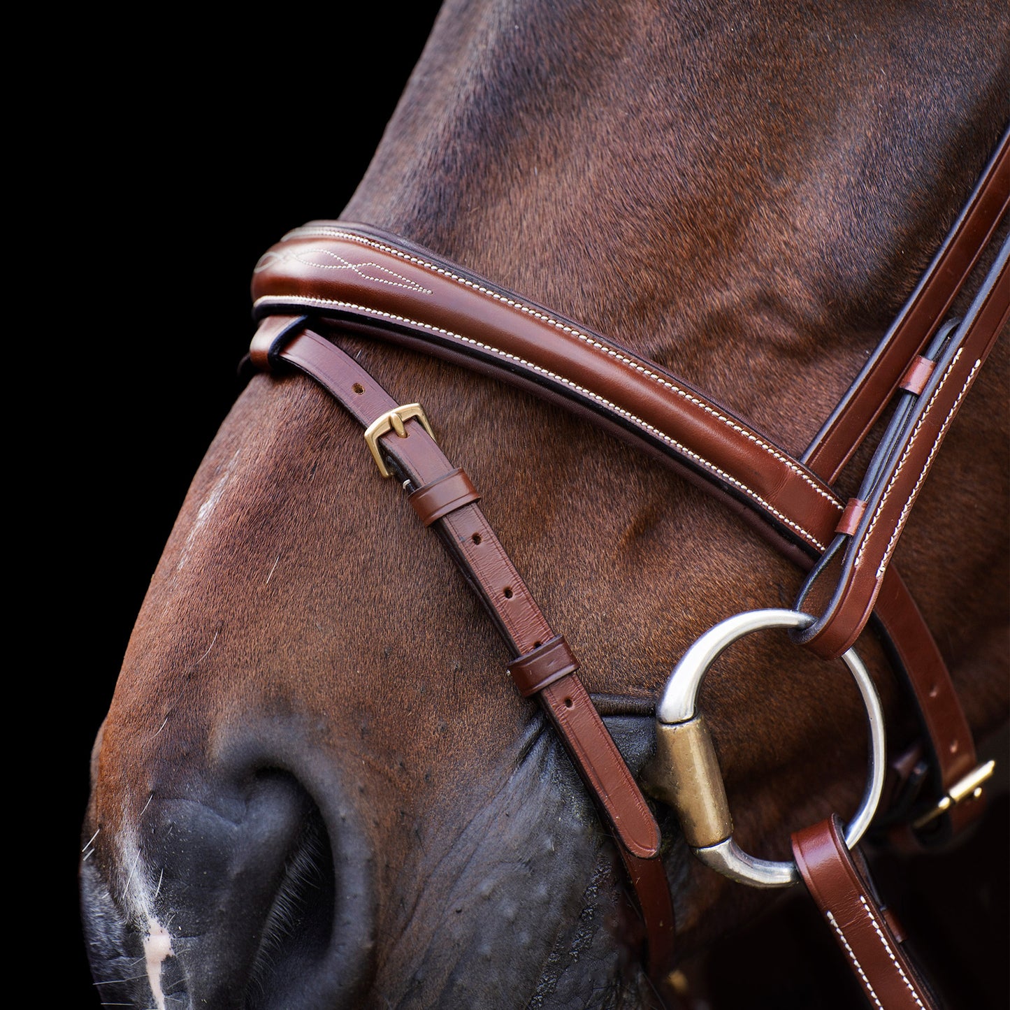 HV Polo Bridle Legacy, mjukt träns