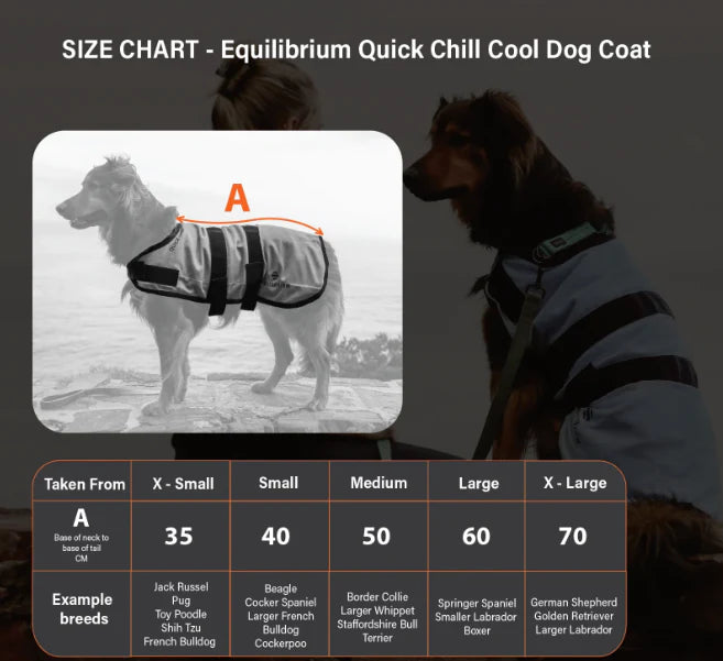 Quick Chill Cooling Coat for Dogs Equilibrium