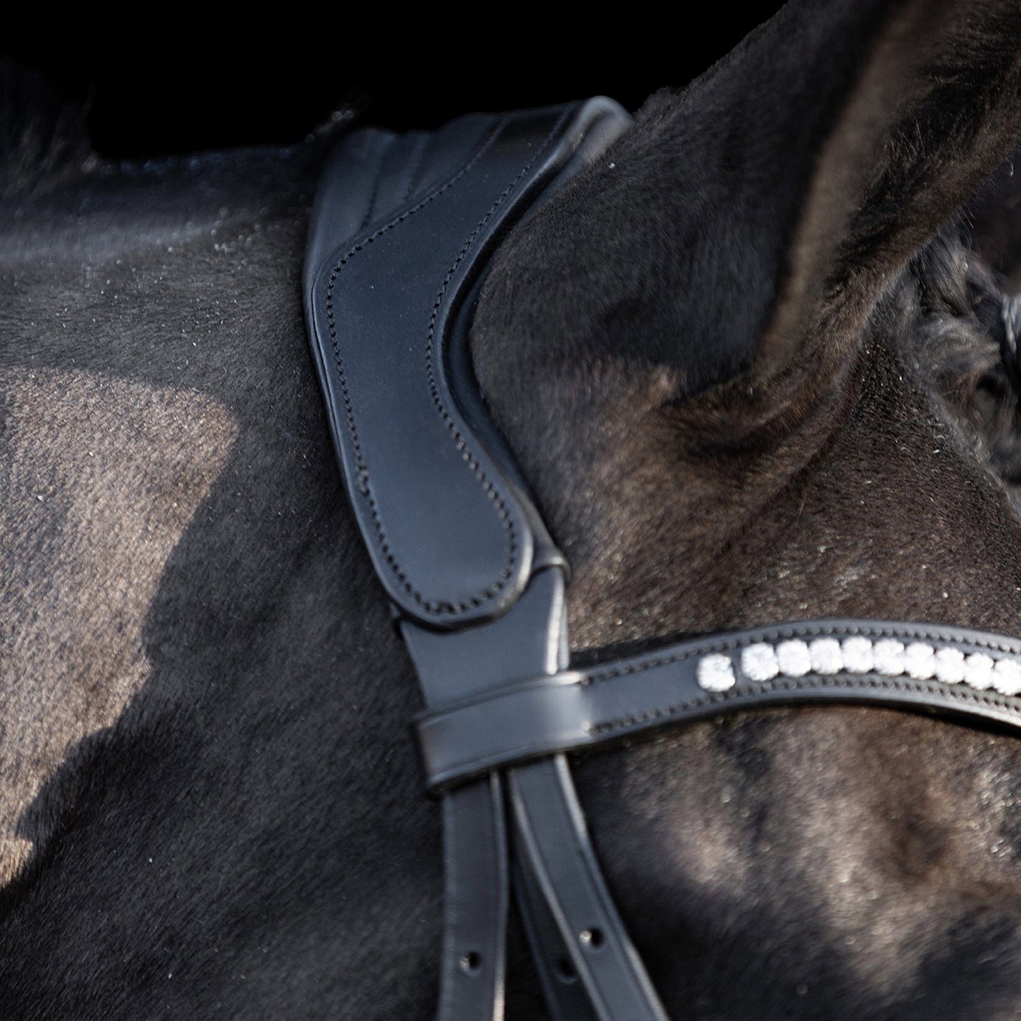 HV Polo Bridle Legacy deluxe, träns med strass