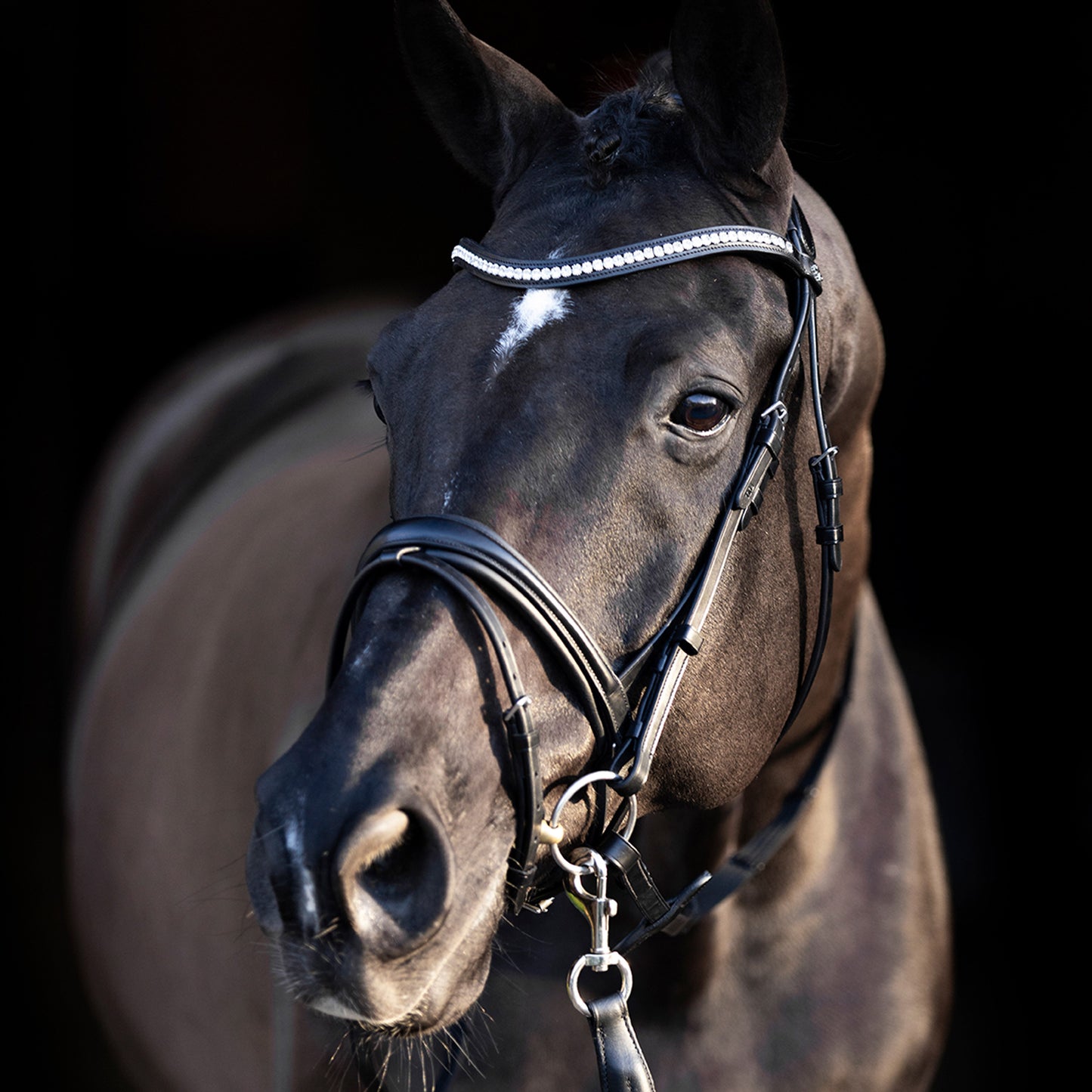 HV Polo Bridle Legacy deluxe, träns med strass