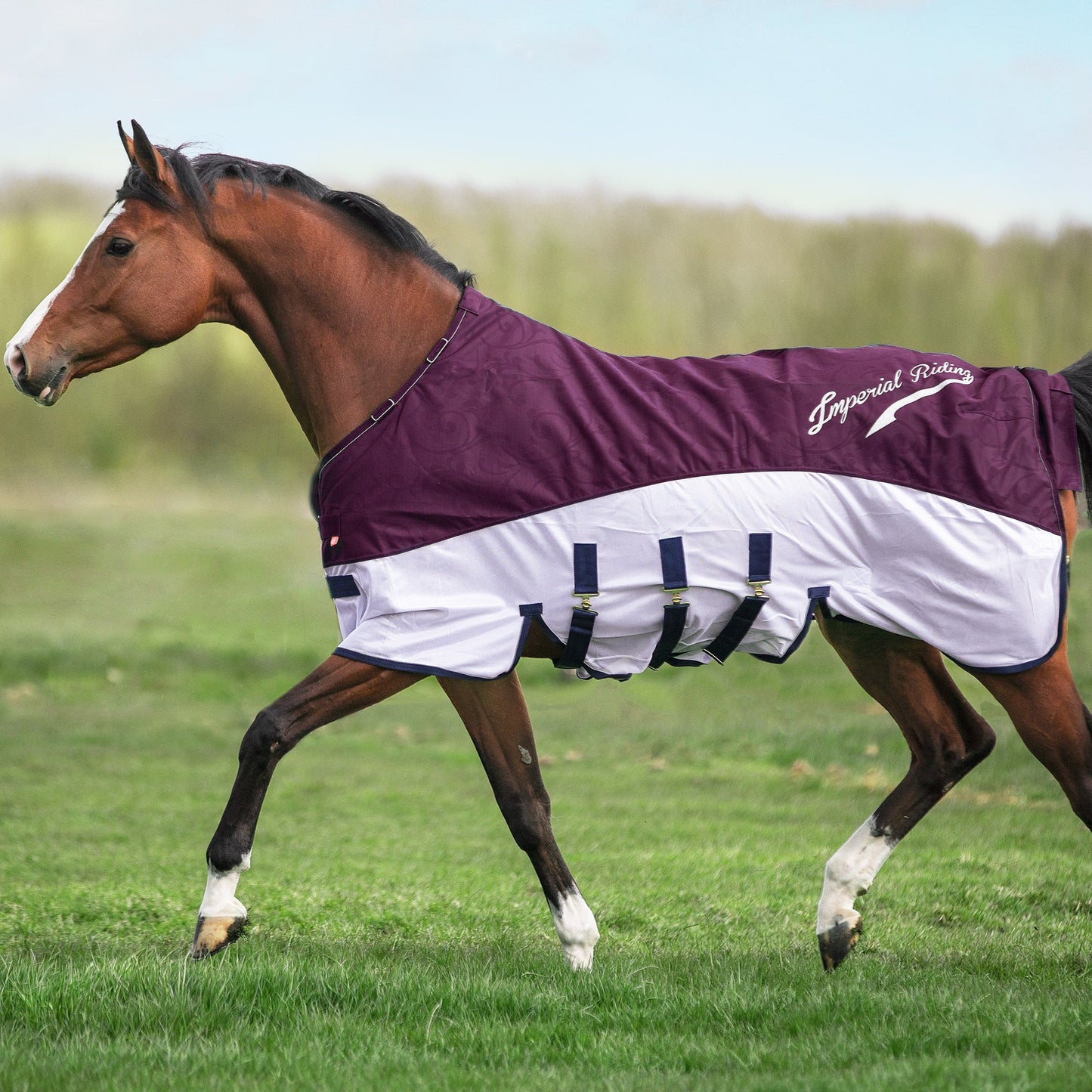Imperial Riding Rain&Fly Blanket Super-Dry, regn och flugtäcke två-i-ett