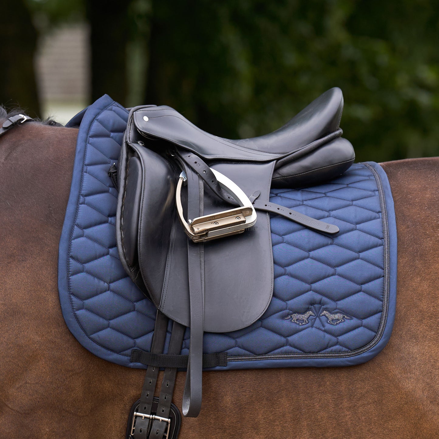 HV Polo Saddlepad Joan, dressyrschabrak