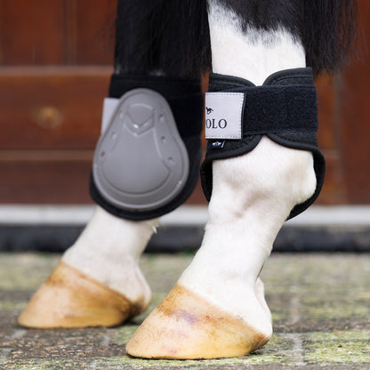 HV Polo Tendon and Fetlock Bootset Classic, set med benskydd