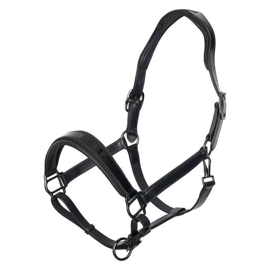Headcollar Hera, lackad lädergrimma med vaddering