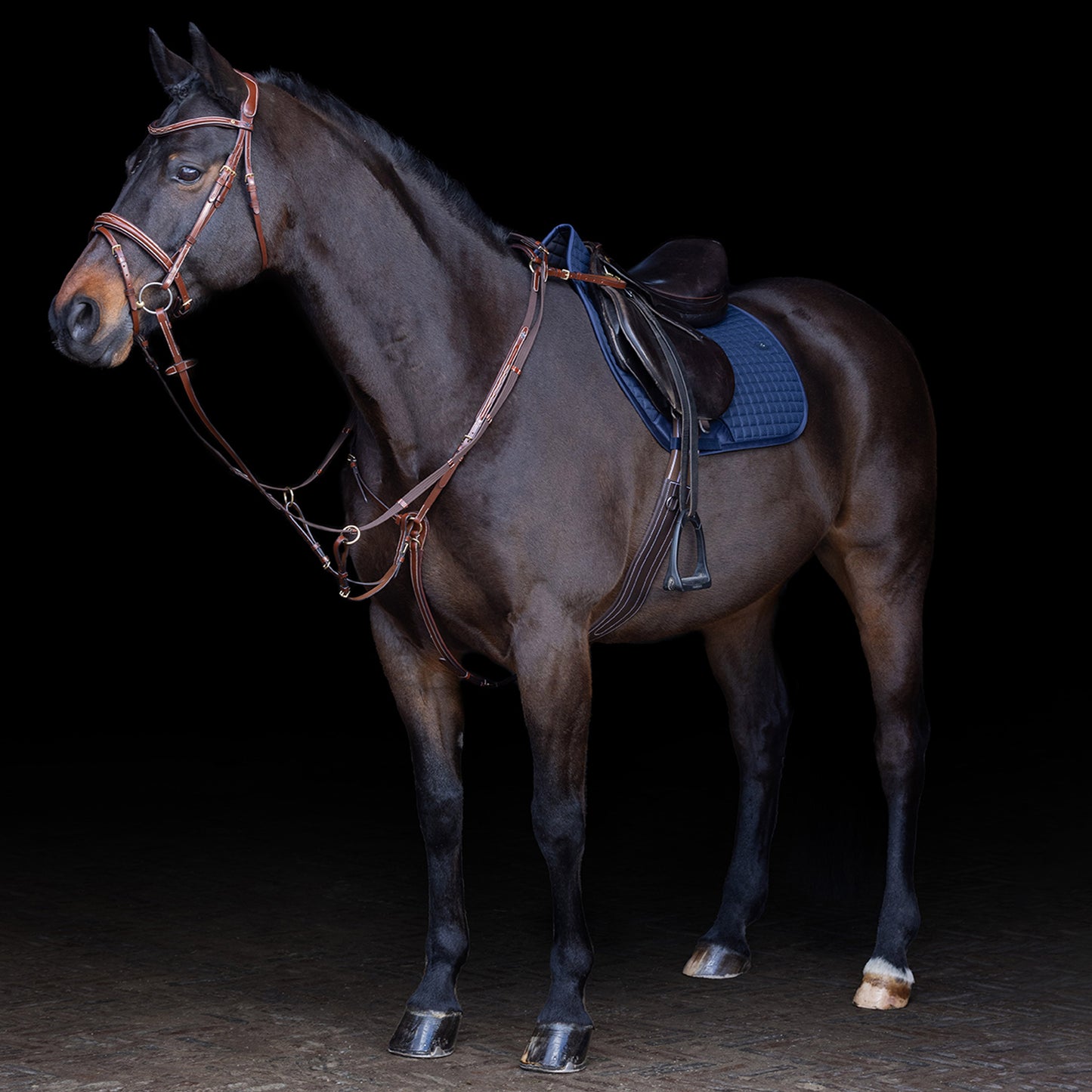 HV Polo Martingale Legacy, martingale i läder