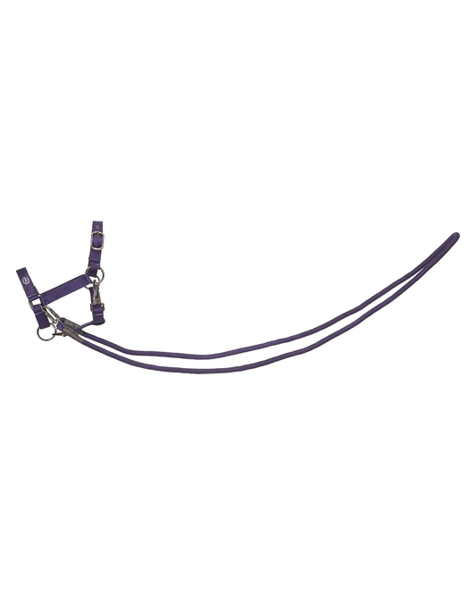 Hobby Horse Headcollar Free Ride Spirit, grimma reptyglar käpphäst