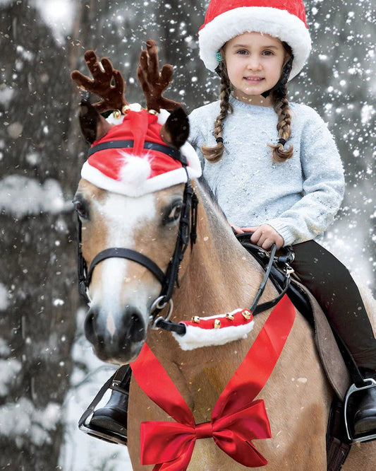 Santas Horse Hat, tomteluva för häst