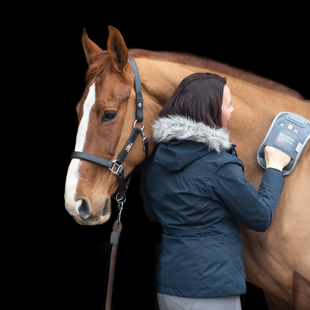 Equilibrium Massage Mitt Hotspot, massagehandske för häst med värme