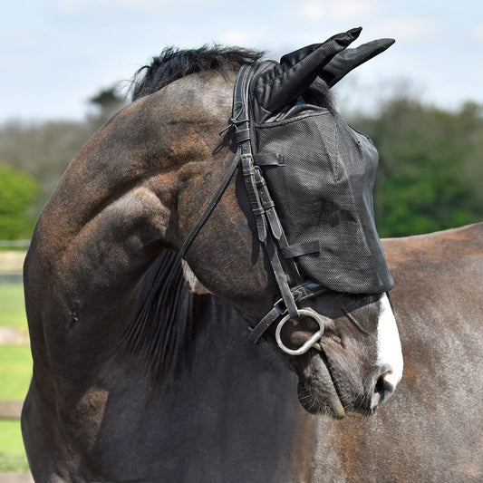 Equilibrium ridmask skyddar hästens ögon öron flugor insekter ridturen ridning