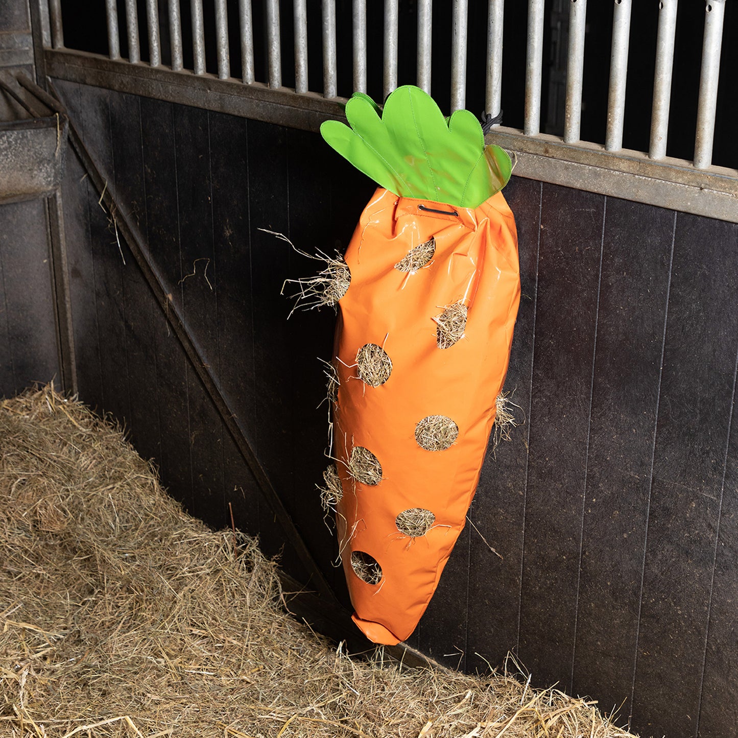 Imperial Riding Hay Fun Carrot, hönät format som en morot