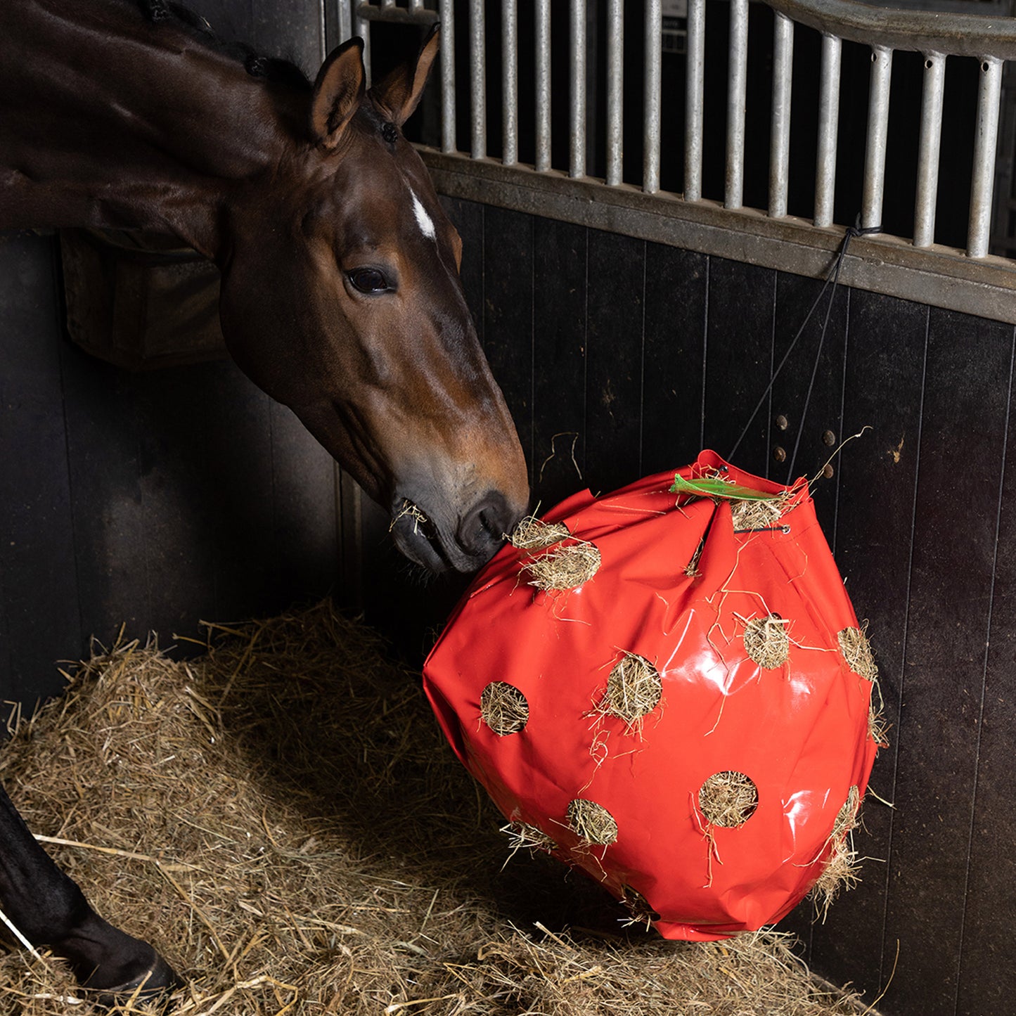 Imperial Riding Hay Fun Apple, hönät format som ett äpple